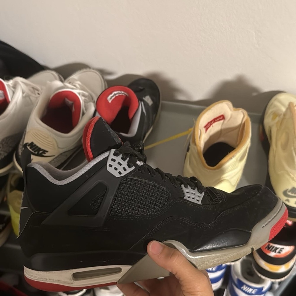 12 us bred 4